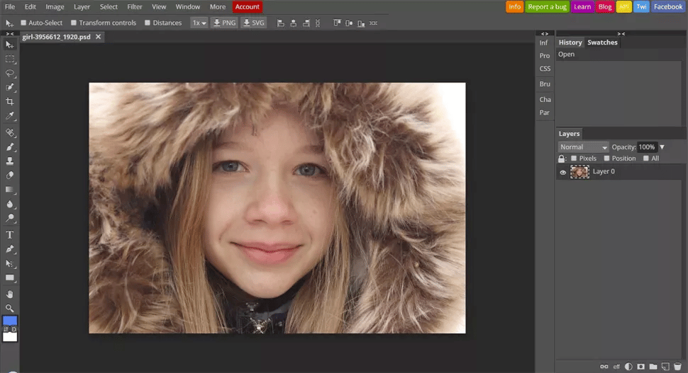 Une capture d'écran de Photopea, l'une des meilleures alternatives à Photoshop